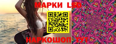 прущий лед Владимир