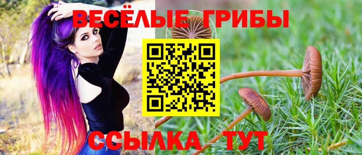 Гай  сколько стоит  Вход с VPN  Галлюциногенные грибы прущие грибы 